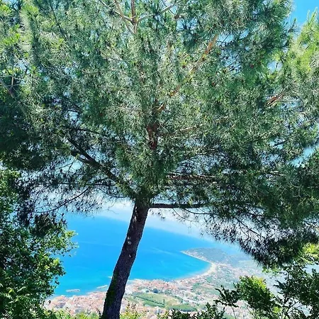 بيت للعطل Murat